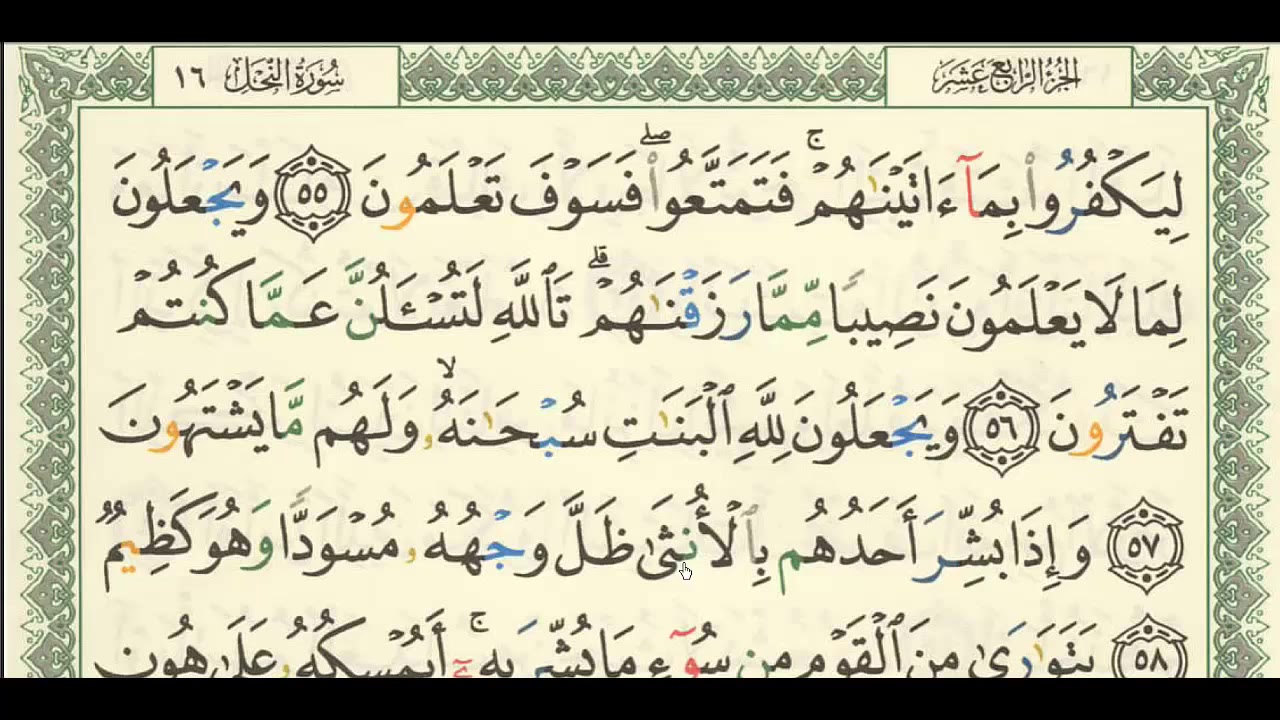 شرح + تفسير لسورة النحل من آية ( ٥٥ ) إلى آية ( ٦٤ ) - للشيخ : فهد العمار .