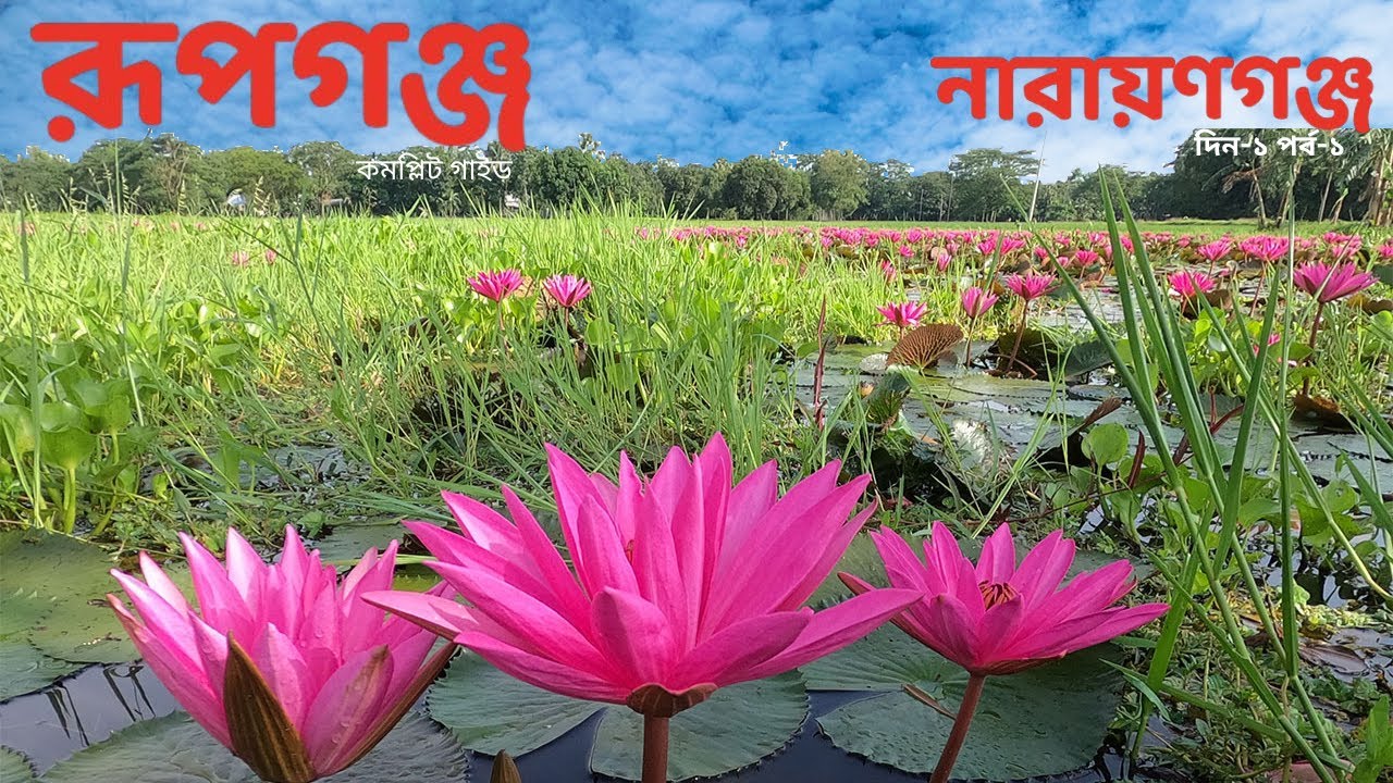 পদ্ম শাপলা রিসোর্ট 🌸 ও জিন্দা পার্ক | Narayanganj Rupganj Travel Guide | নারায়ণগঞ্জ ভ্রমণ Day1 Ep-1
