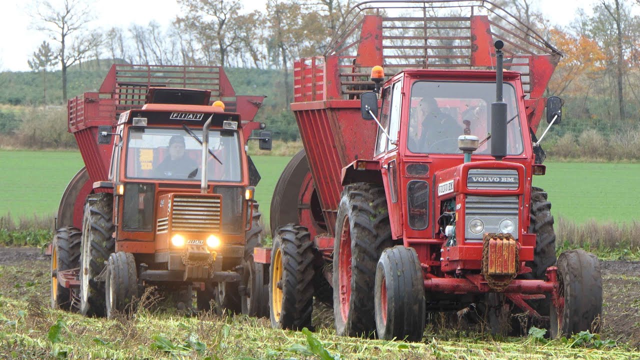 Vintage Sugar Beet Harvest 2023 | Volvo BM + Deutz + Renault + Massey Ferguson + Fiat Tractors