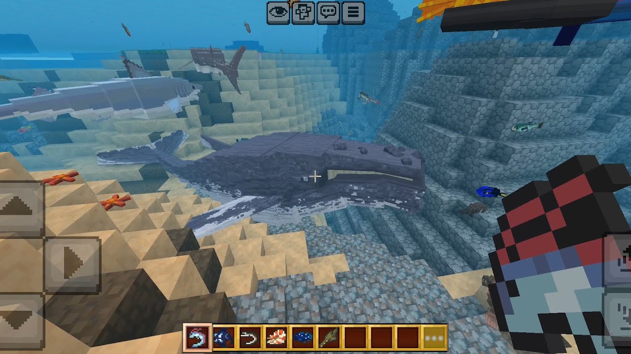 Ocean Expansion Addon in Minecraft PE/BEDROCK 