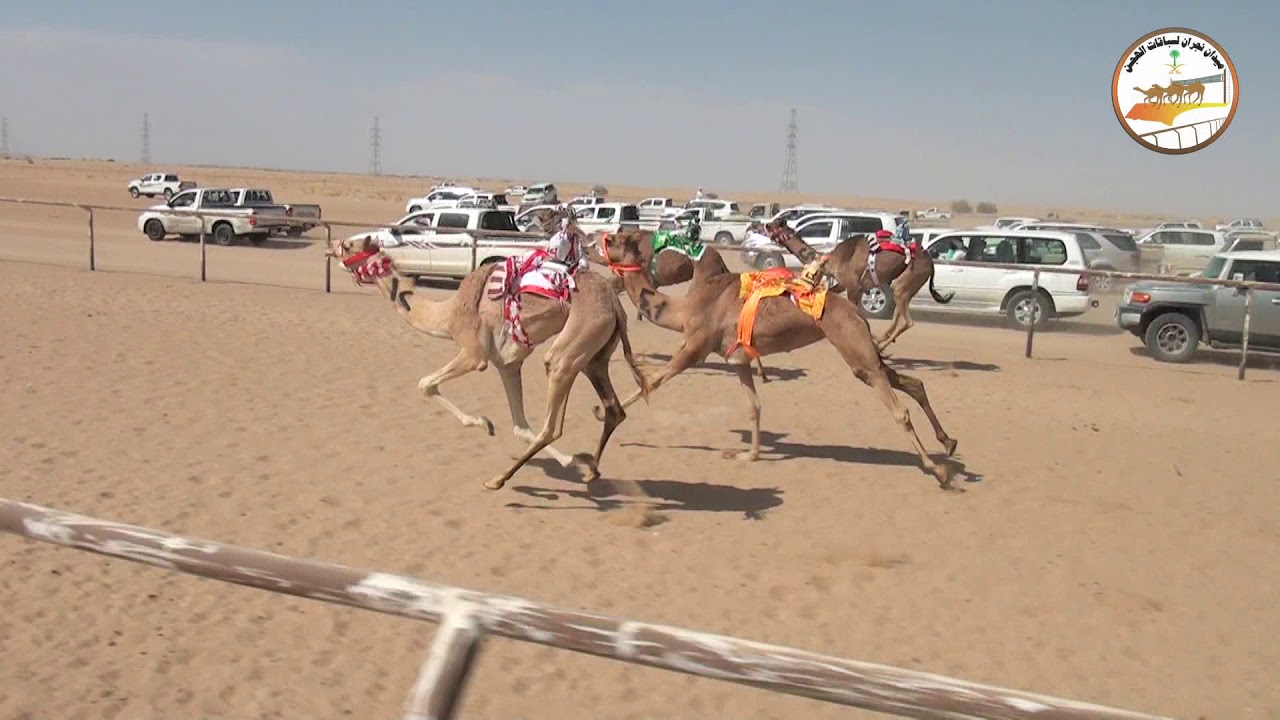 الشوط الاول بكار حقايق  على جوائز نقديه مقدمه من  صاحب السمو الملكي الامير/ تركي بن هذلول