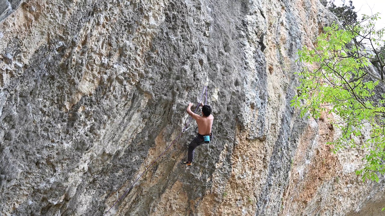 Brumisatore 8a - Rodellar