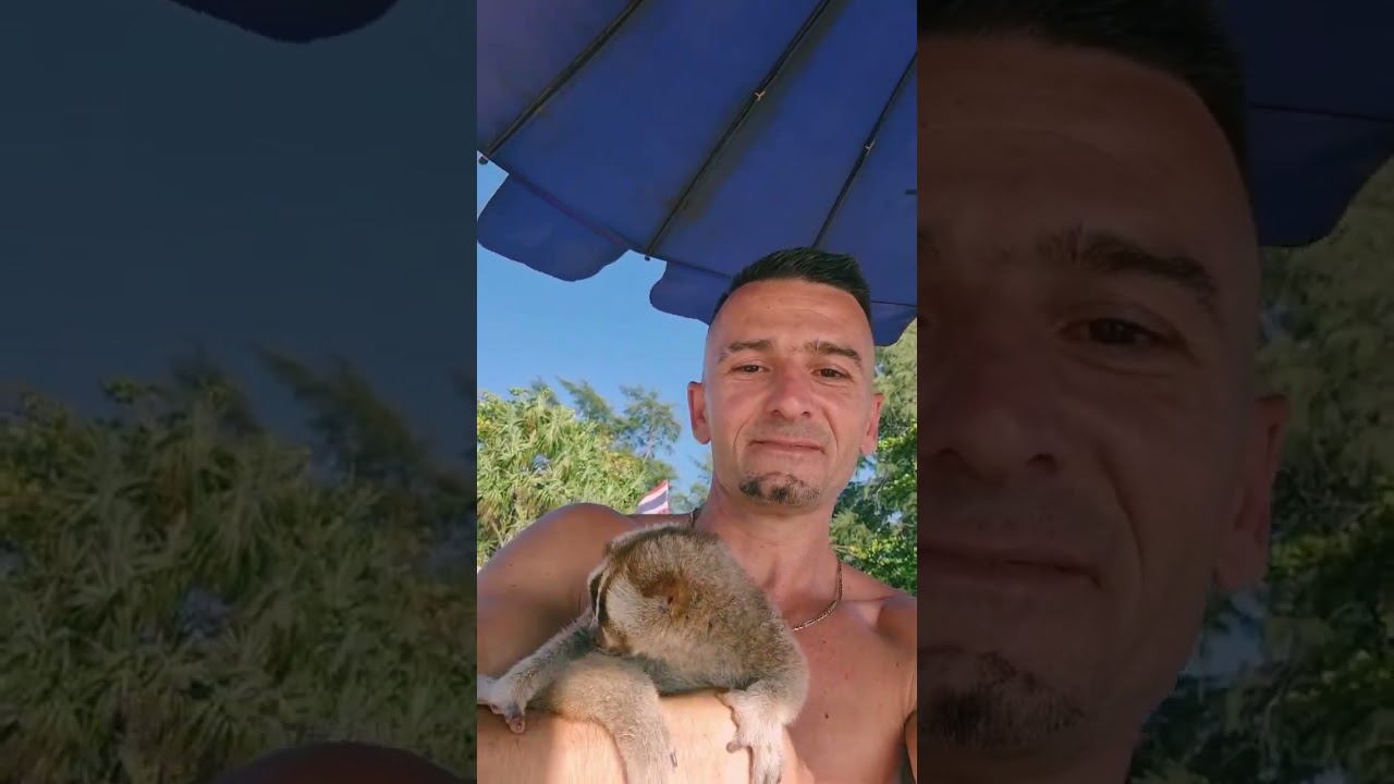 такой милый и непослушный, как животное #короткоевидео