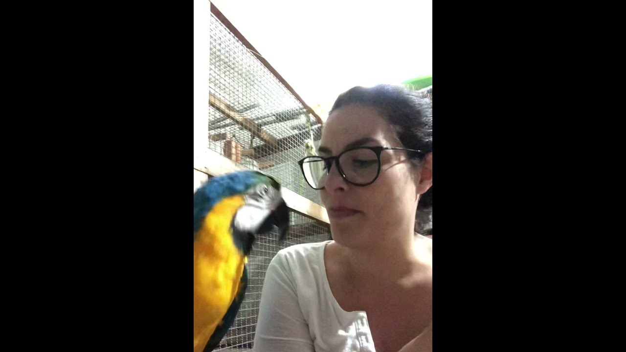 King Canindé malcriada respondendo pra mamãe! Parte I