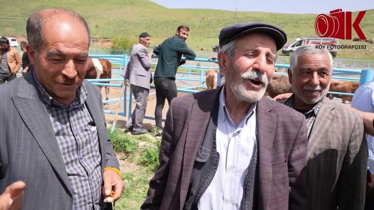 Hayvan satılmayınca amca türkü okudu - Havar  #hayvanpazari  #kurbanlıklarsatışta #malmeydanı