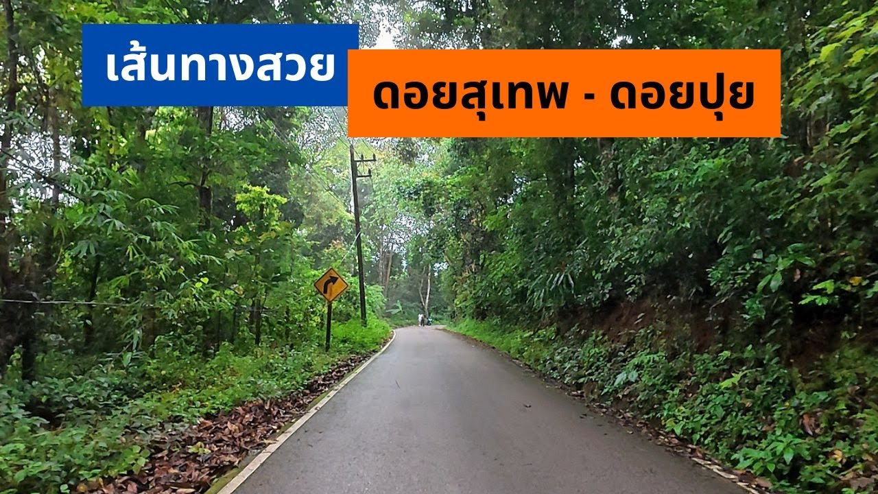เส้นทางดอยสุเทพ–บ้านม้งดอยปุย 8 กม. | วิวธรรมชาติสุดชิล เชียงใหม่