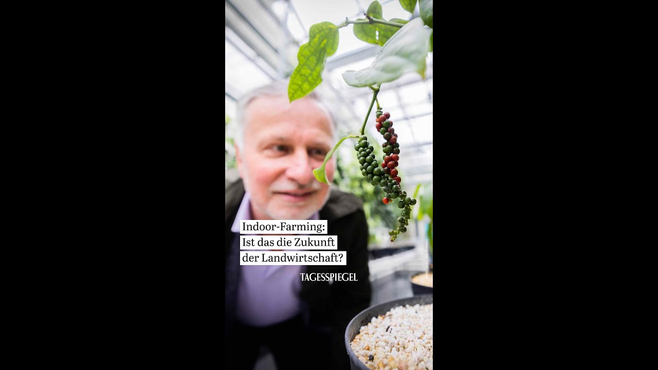 Indoor-Farming: Ist das die Zukunft der Landwirtschaft? #innovation #agrarsysteme #ta