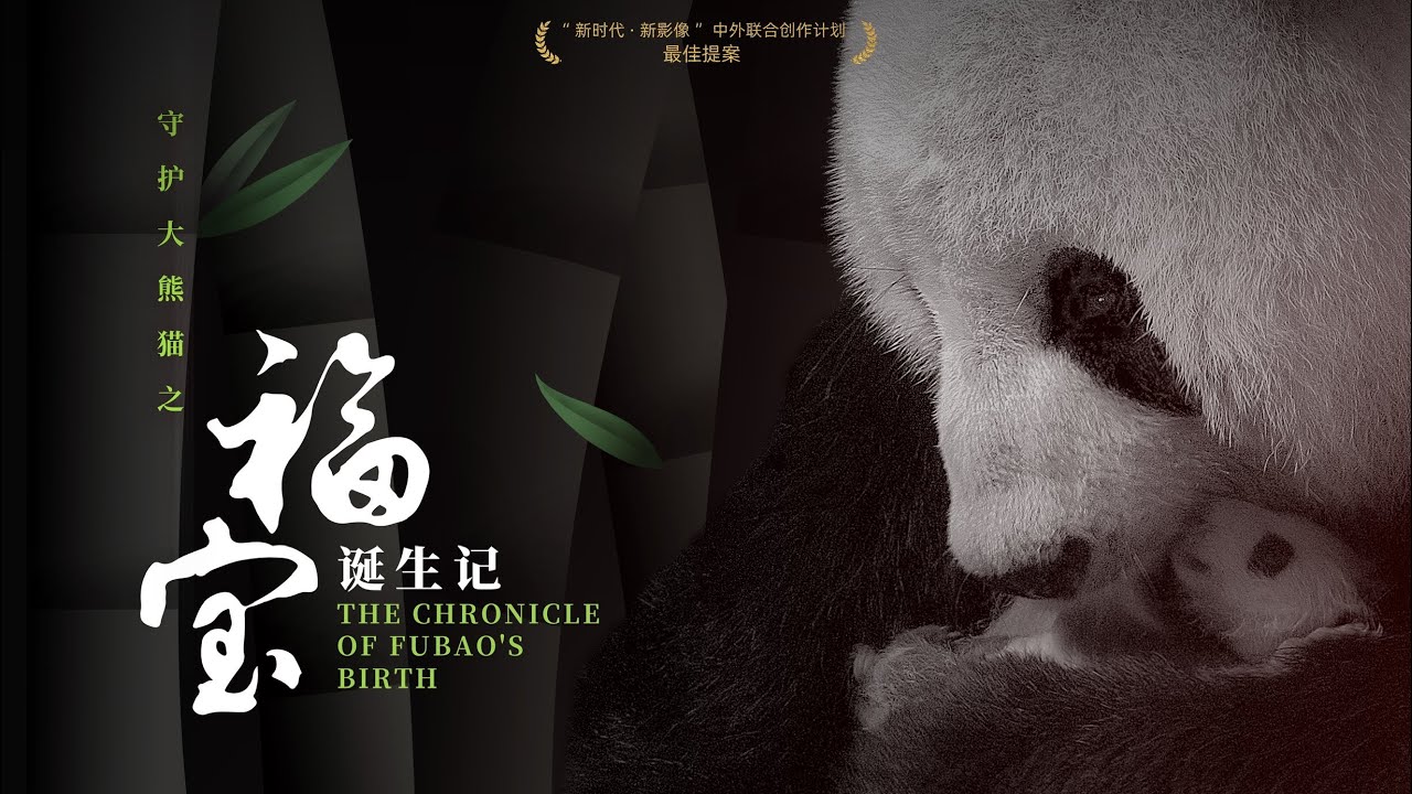 《守護大熊貓之福寶誕生記 Guardians Of The Panda - The Chronicle of FuBao's Birth》