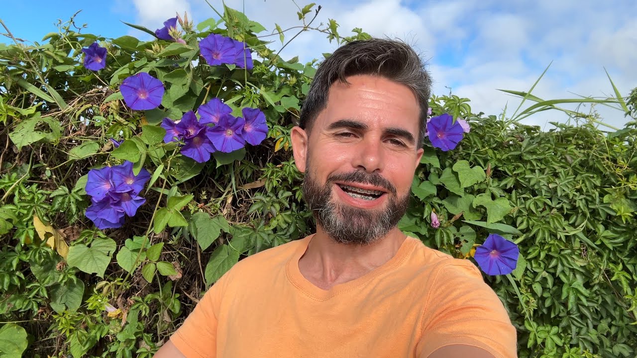 Plantas TREPADEIRAS com FLORES para sua CERCA e PERGOLADO