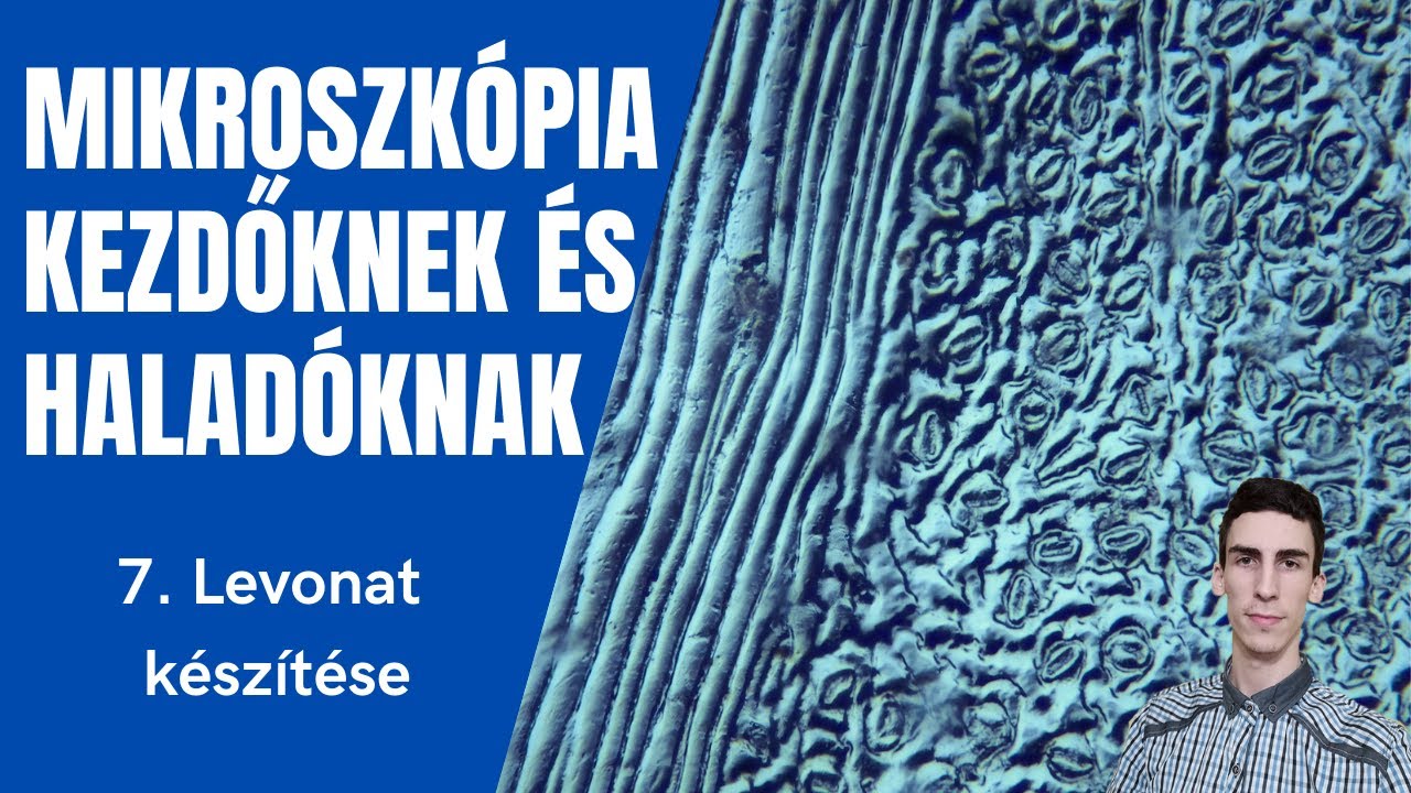 Mikroszkópos alapok 7. - Levonat készítése