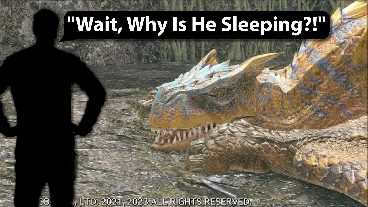 Monster Hunter Funny Moments!