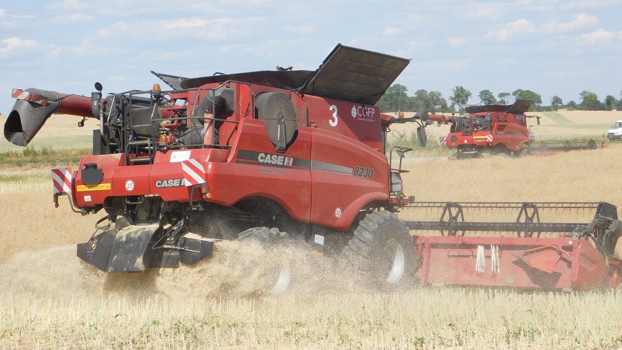 Case IH 8230 i 9240 na gąsienicach w rzepaku. Żniwa 2018 w CGFP rozpoczęte!