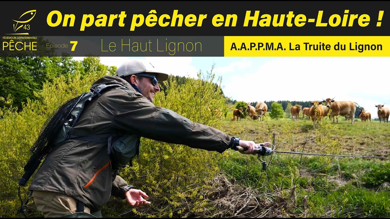 🎬🎬🎣🎣 7 ème Episode de notre nouvelle série ! Le Haut-Lignon (43)