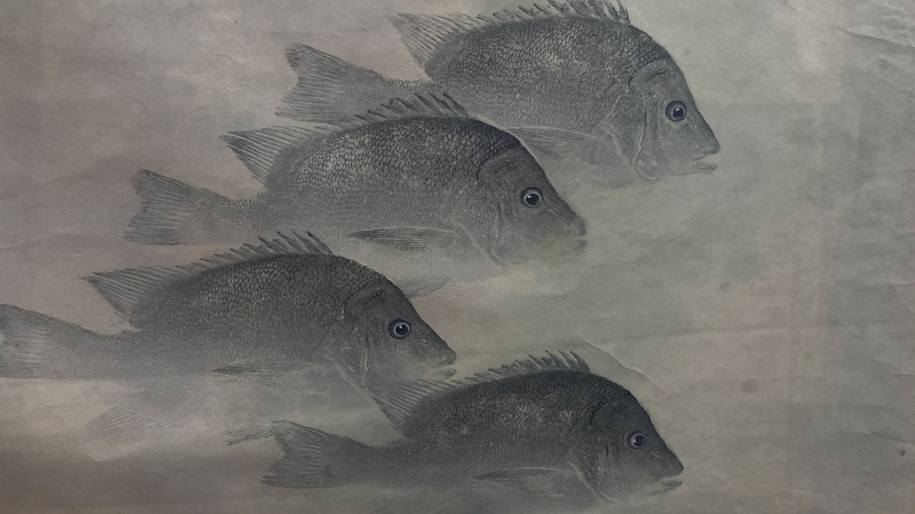 2026년 봄 “파란 바다” 낚시 엑스포 Bihai Fishing EXPO Spring 2026