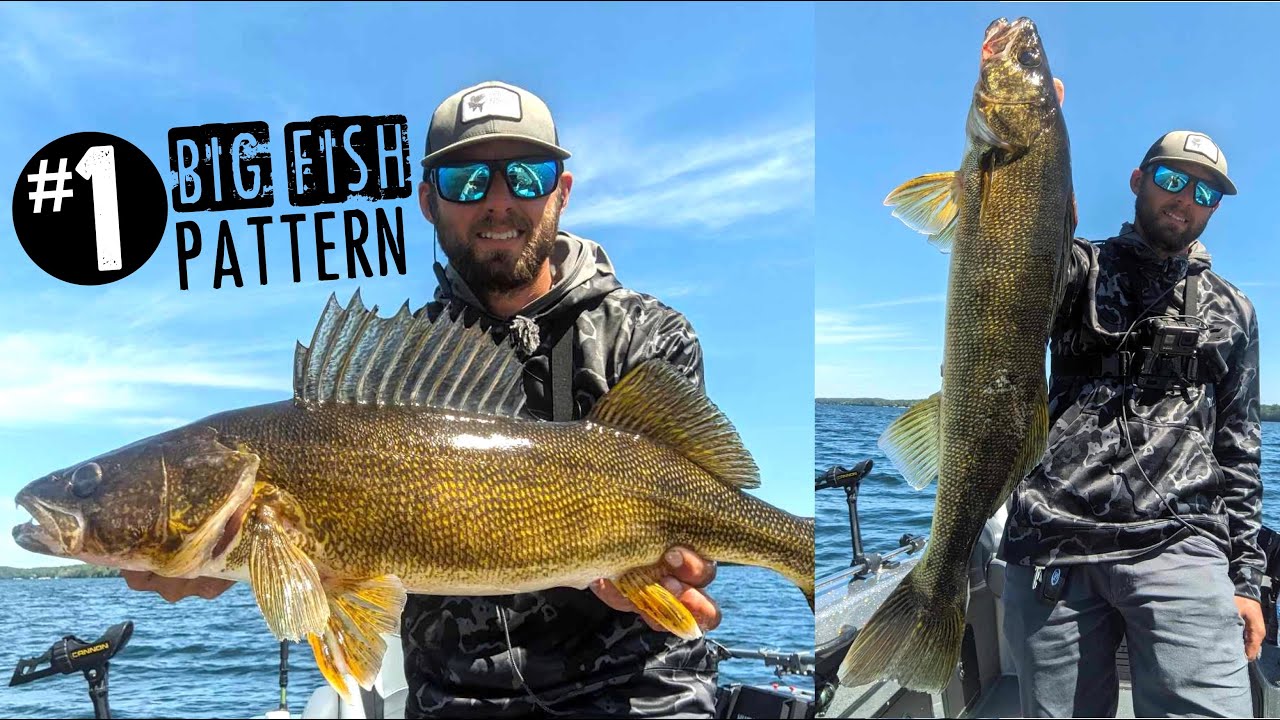 The BEST PATTERN to Catch BIG Walleyes This SUMMER!