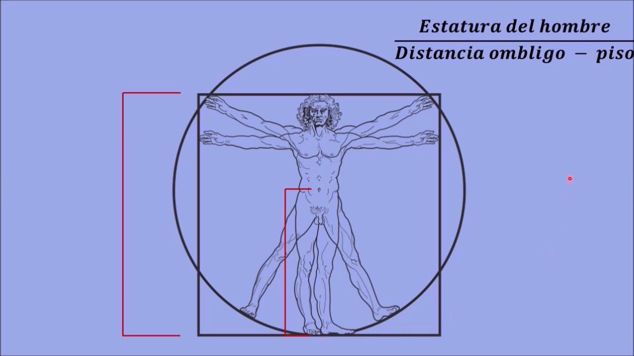 LA DIVINA PROPORCION