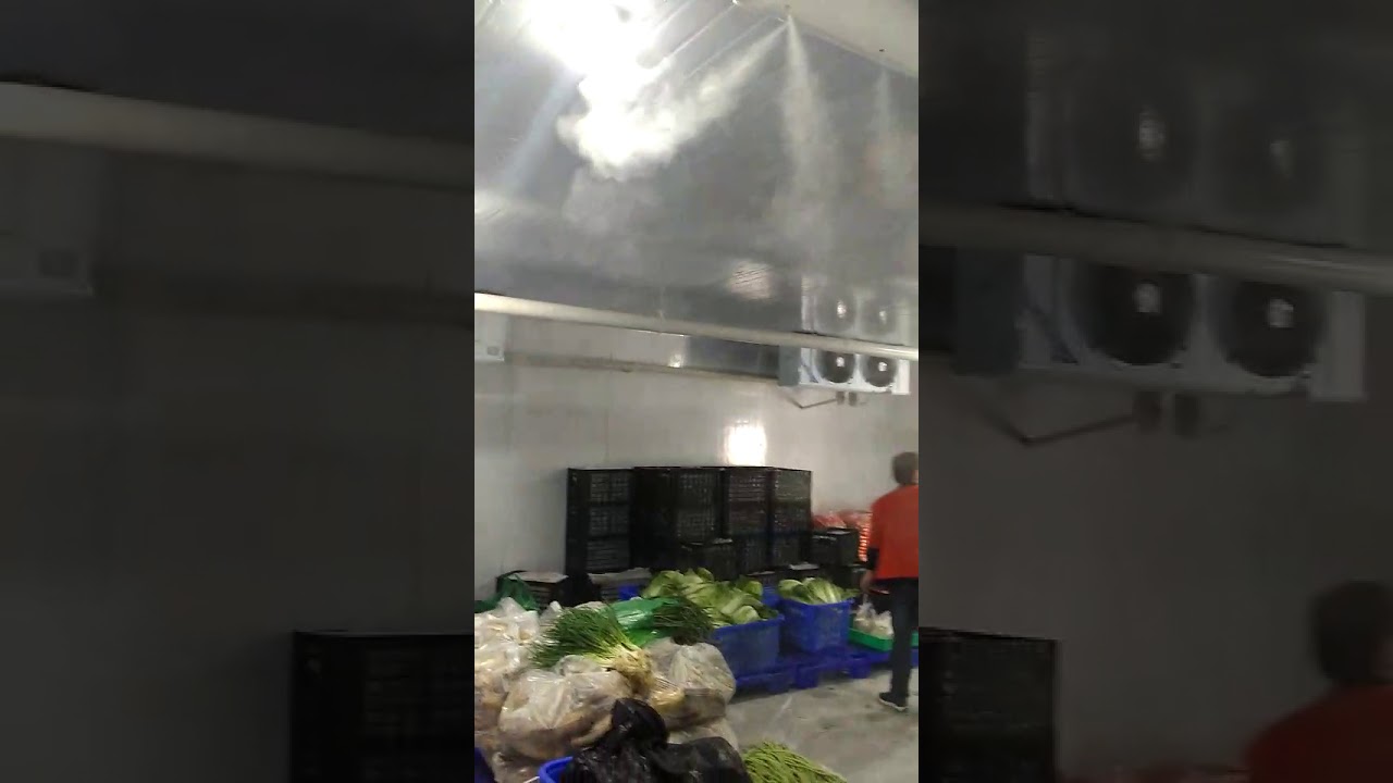 Vegetable cold rooms