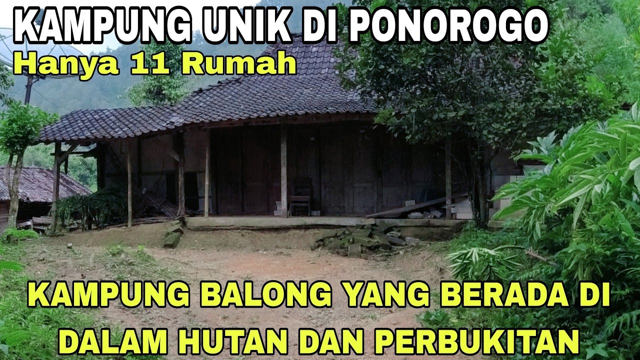 Kampung Unik di Ponorogo yang Berada di Tengah Hutan dan perbukitan yaitu Kampung Balong 