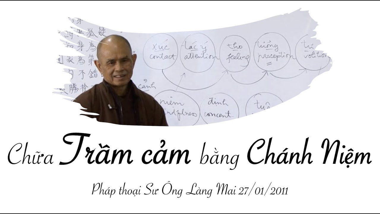 Chữa trầm cảm bằng chánh niệm - Pháp thoại Sư Ông Làng Mai 27/01/2011