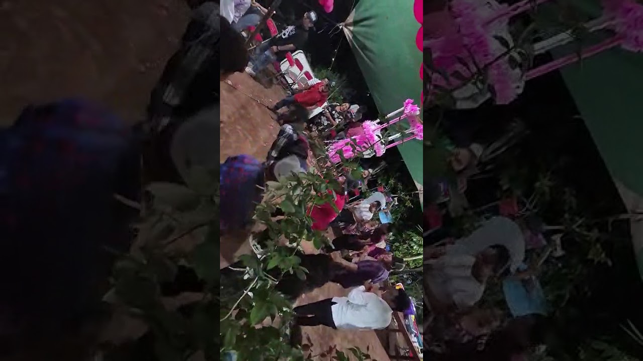 Baile de la iguana 