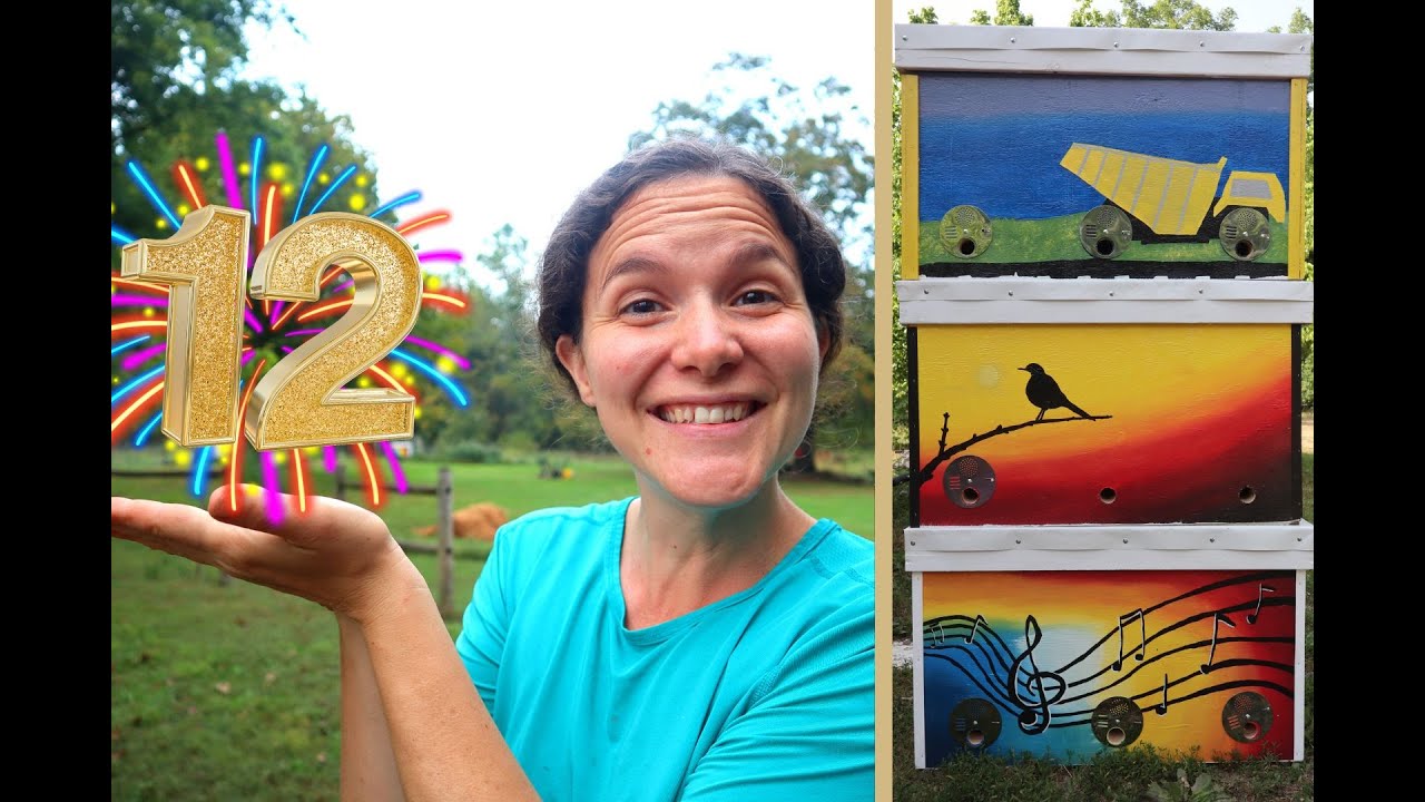 TWELVE Lessons I Learned This Time: Building SIX Layens Bee Hives!