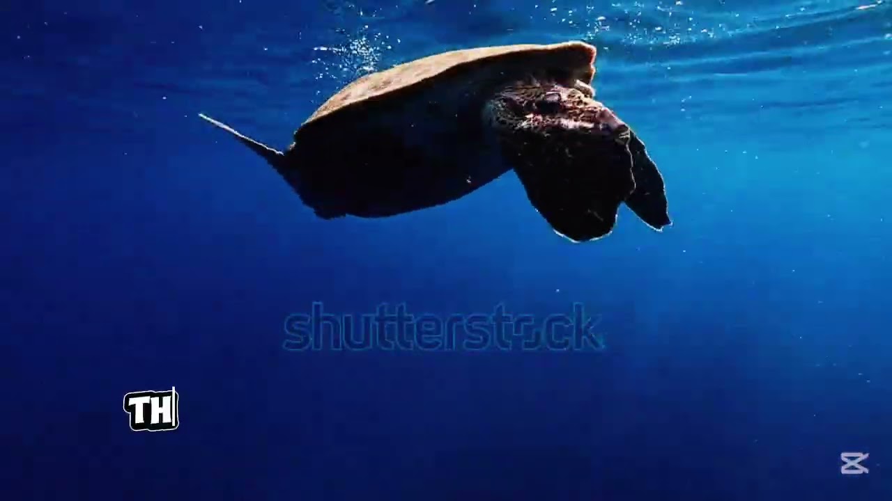10 Incredible Animal Facts You Didn’t Know