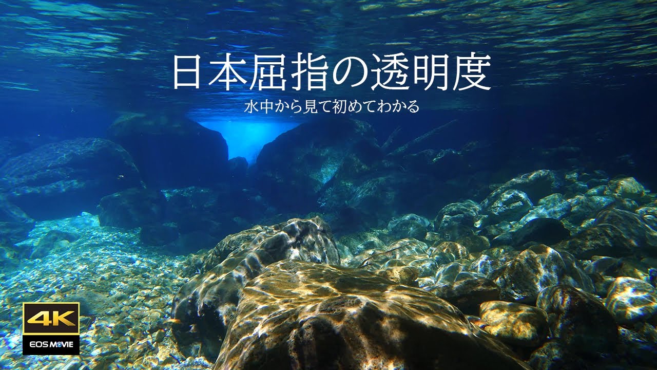 4K  自然環境音　円原川  癒しの水中映像＋水中音でリラックス　Healing underwater footage / 睡眠　作業　瞑想