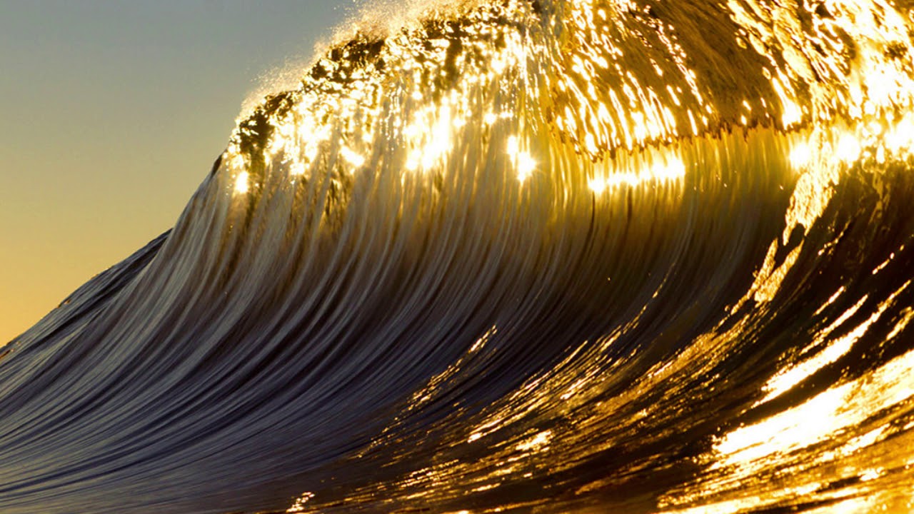 ADULTSWIM BUMP - GOLDEN WAVES