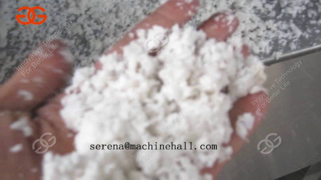 Coconut Meat Grinding Machine|Coconut Meat Grinder