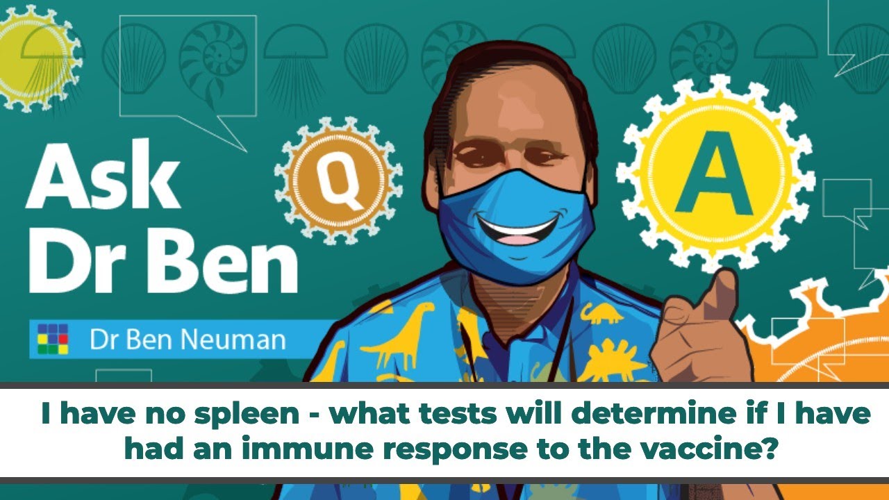 I have no spleen - what tests will determine if I have had an immune response to the vaccine?