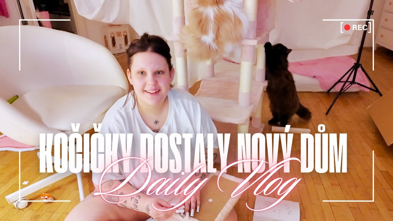 DAILY VLOG: po roce bydlení jsem si udělala wifi & stavím kočičkám nové škrabadlo | SugarDenny