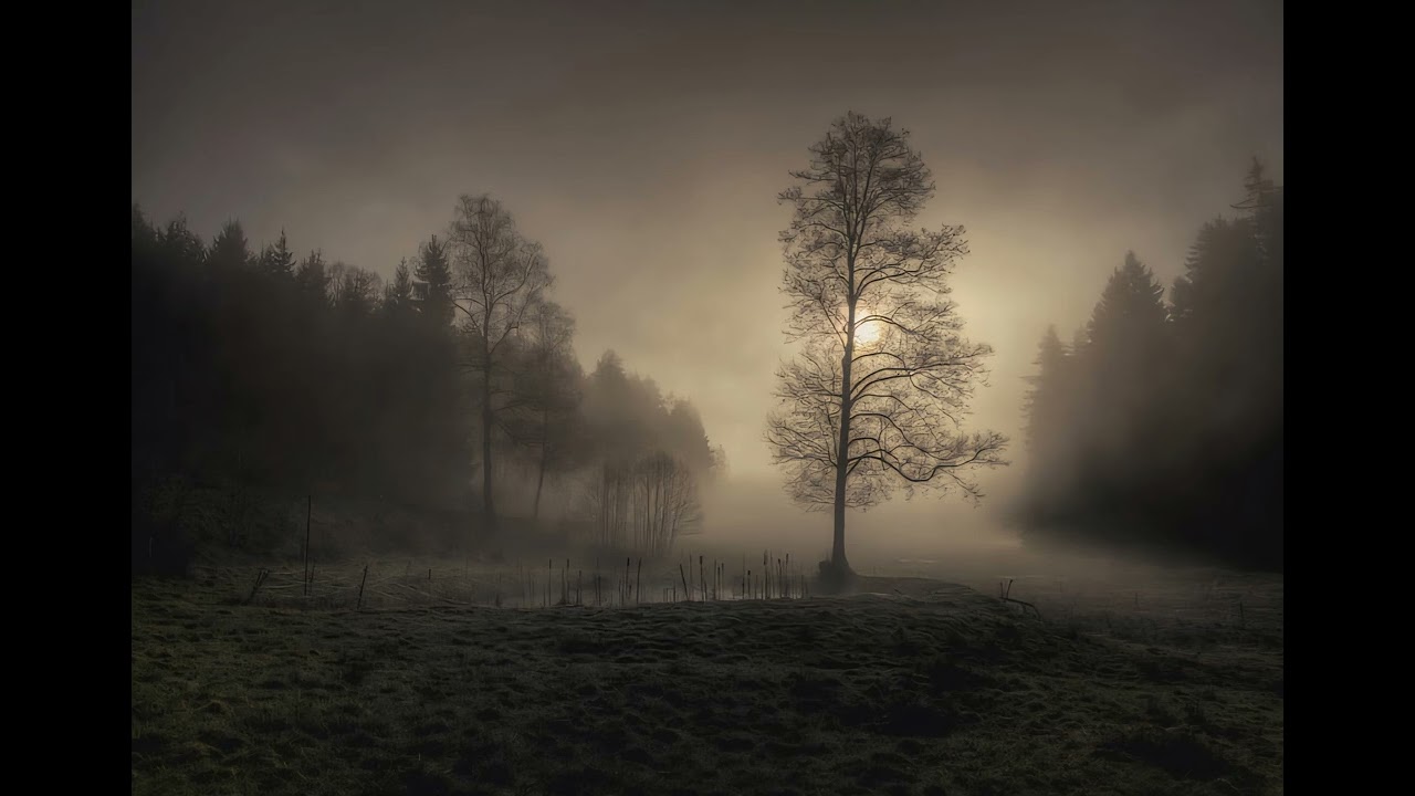 Fishy - Misty Scenery 