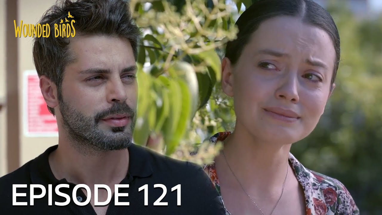 Wounded Birds | Episode 121