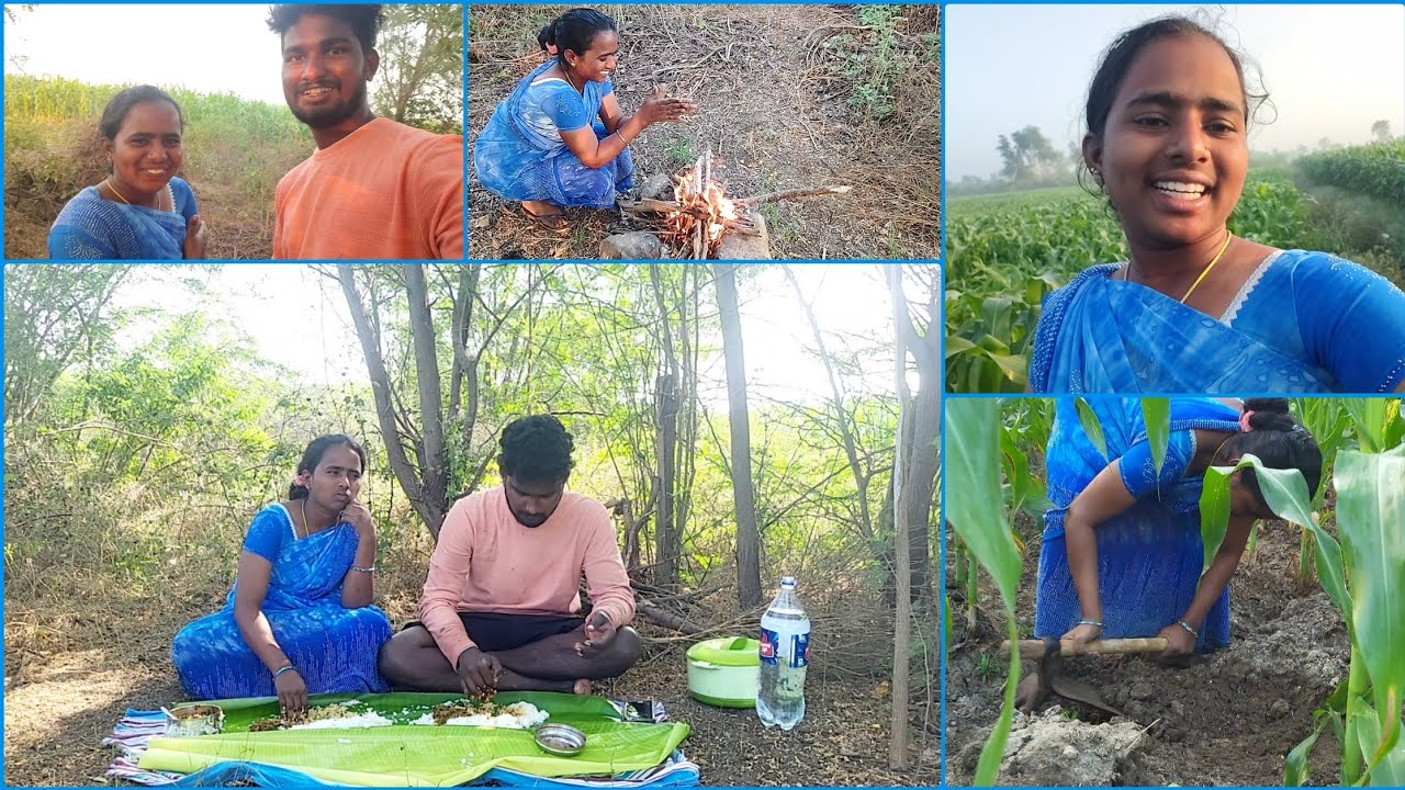 🥹కష్టని ఇష్టంగా నేను నా భార్య కలిసి ఉదయాన్నే 5:30కు మా మొక్కజొన్న చేనుకు నీళ్లు కట్టడానికి వెళ్ళాం