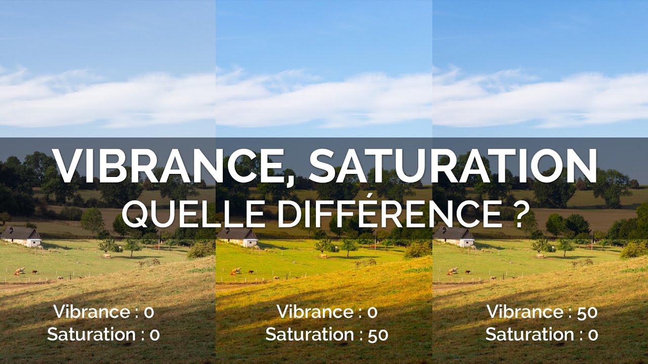 Vibrance, saturation. Quelle différence ?