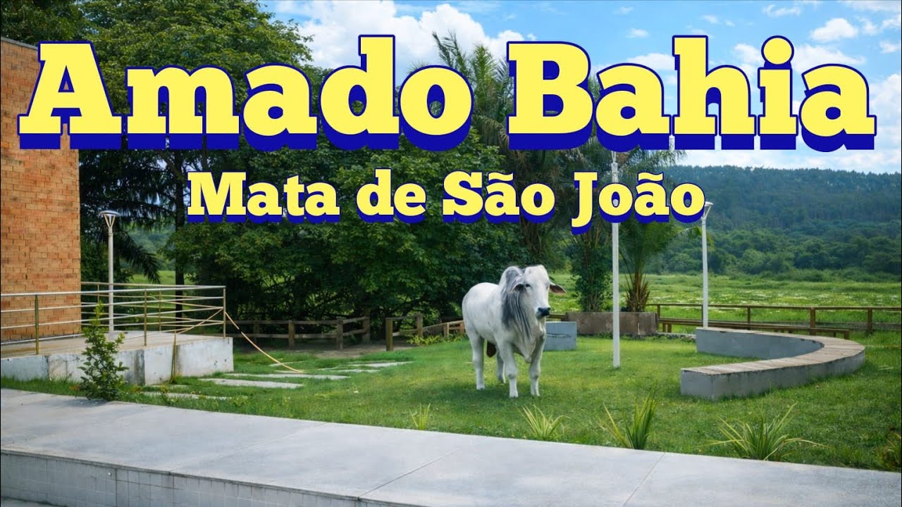 COMO É  A VIDA NESSE  PEQUENO  POVOADO da BAHIA?