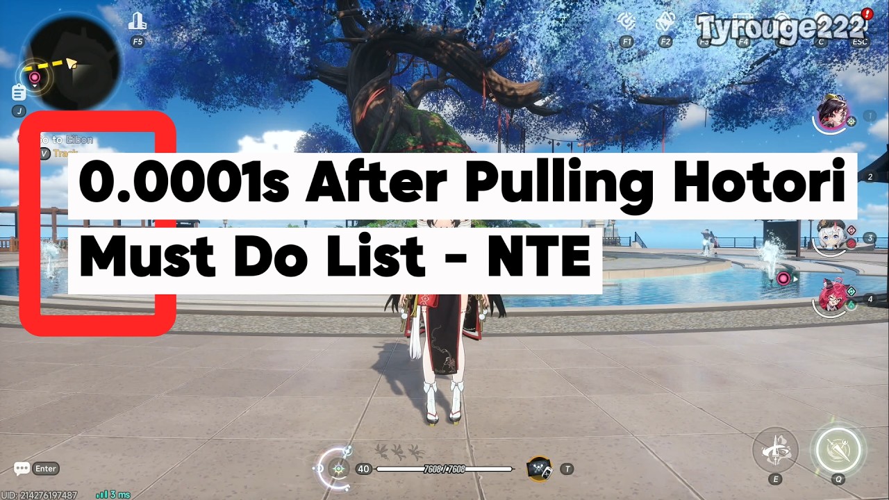 NTE - 0.000001s After Getting Hotori Must Do List