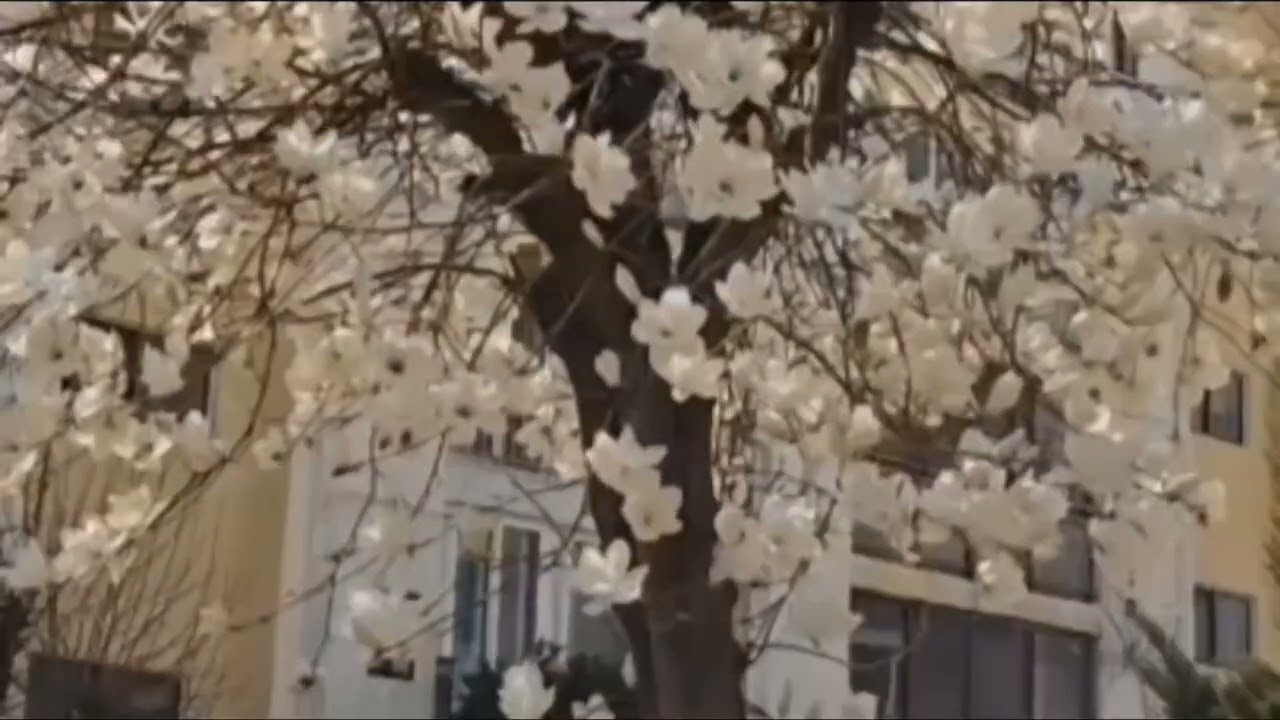 잊지 못할 그대