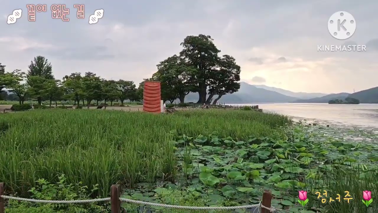 🧬끝이 없는 길 🌷정서주 💦양평 두물머리 