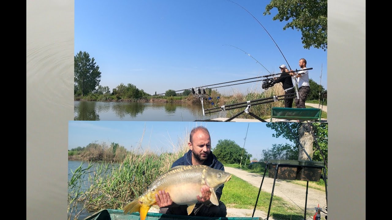 DOUBLE RUN CARP FISHING LEPI KRUPNI ŠARANI