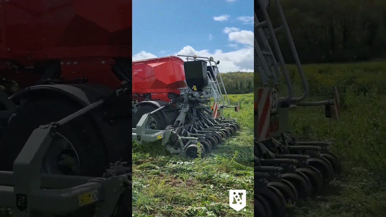 Novag T-ForcePlus 450CT in France🇫🇷