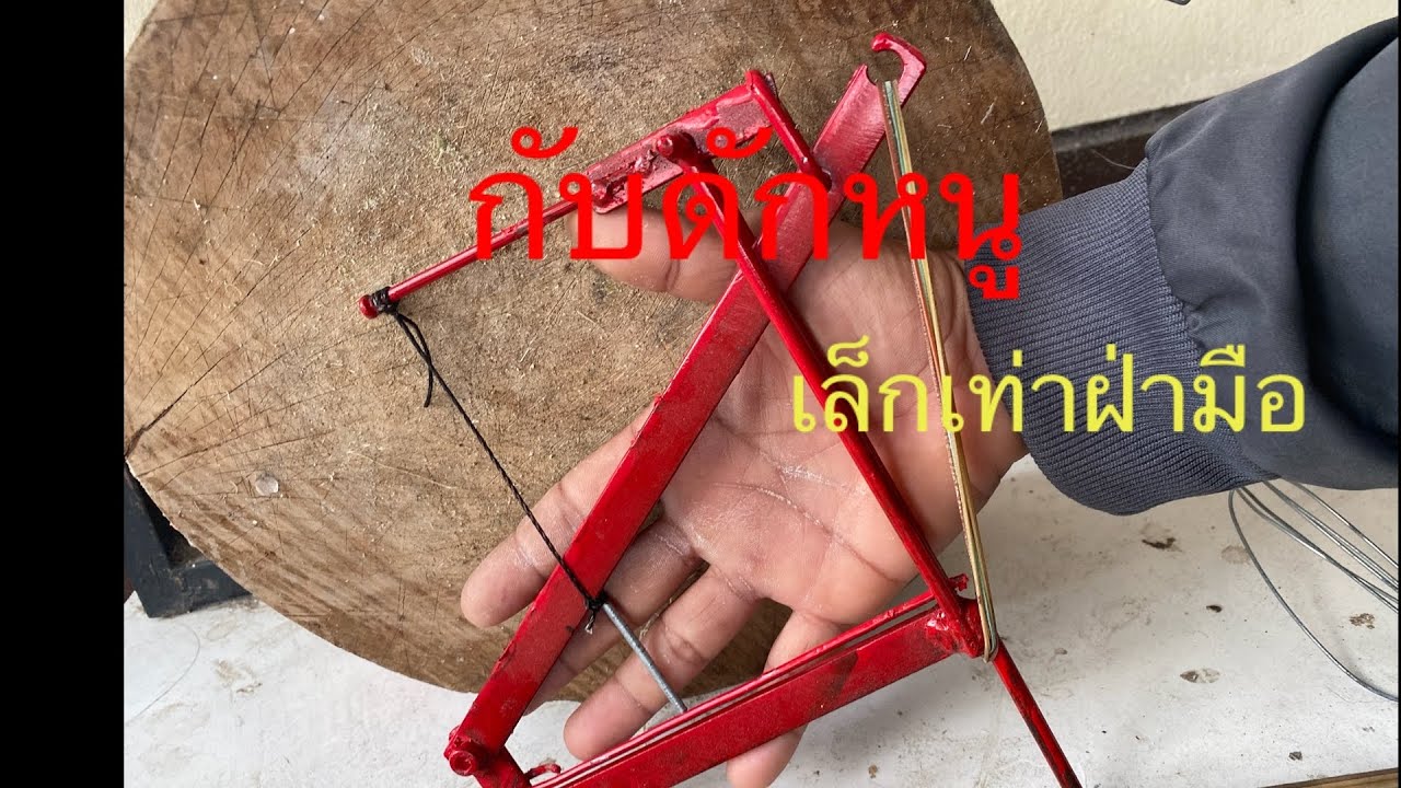 ทำกับดักหนูฟ้าผ่าเหล็ก#ใช้กันลืมเลย#ดักหนูนา @suchin123pl
