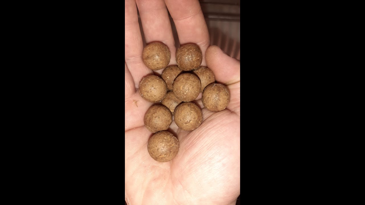 Total Yeast bait