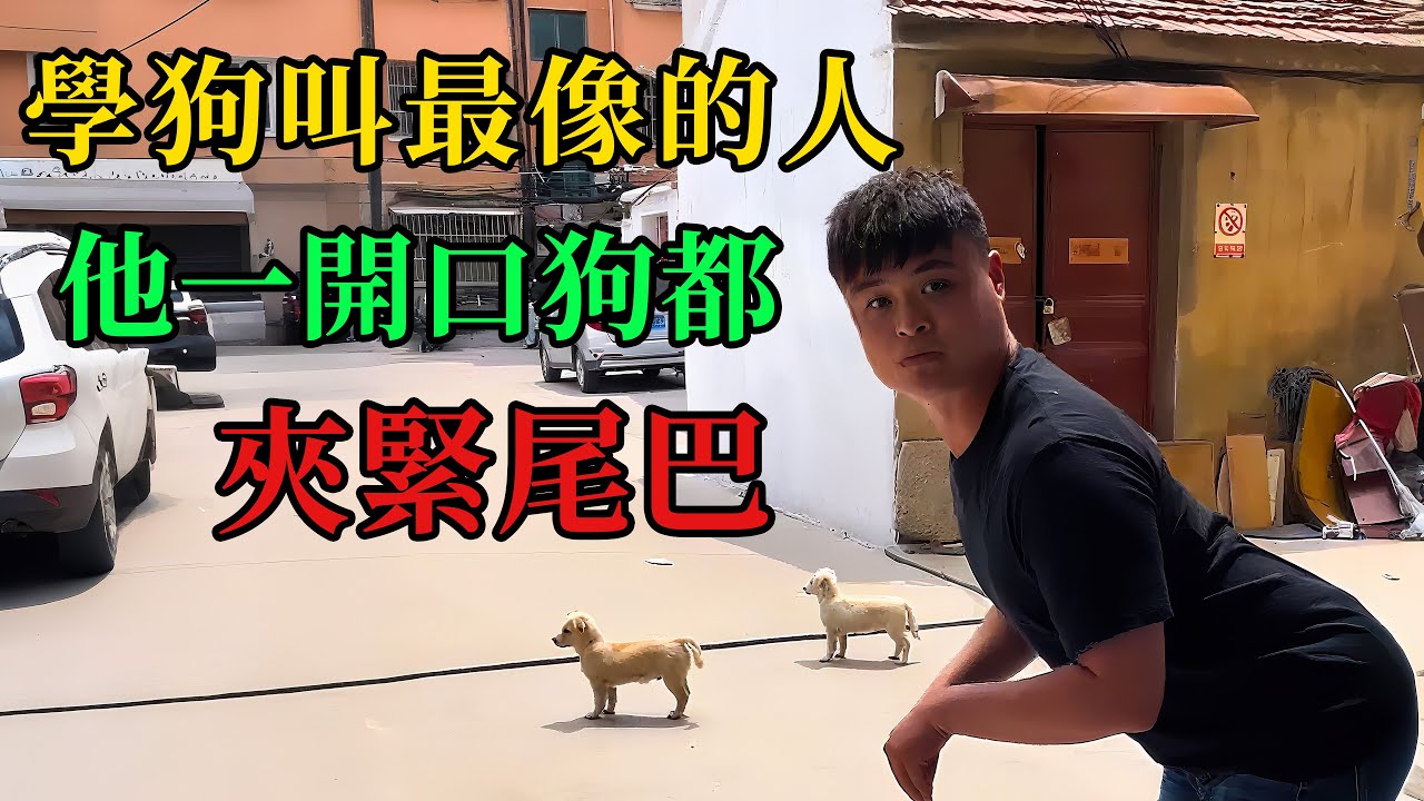 學狗叫最像的人，他一開口狗都夾緊尾巴 #動物的迷惑行為  #養動物的樂趣  #動物的心思都寫在臉上