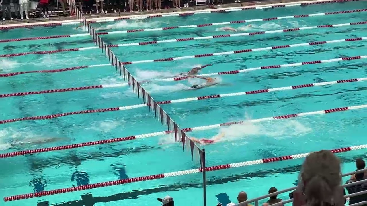 M400 Free Relay (Tenn, 2:49.35)