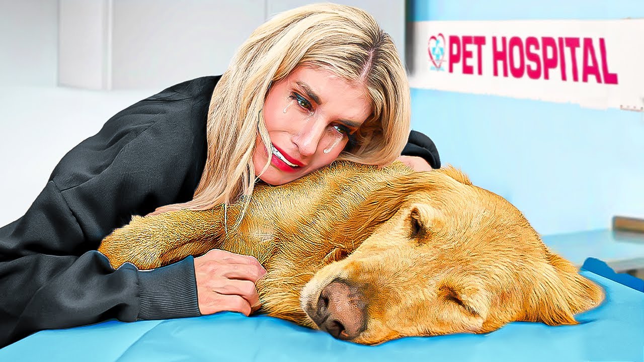 Birth To Death of My Dog *emotional*