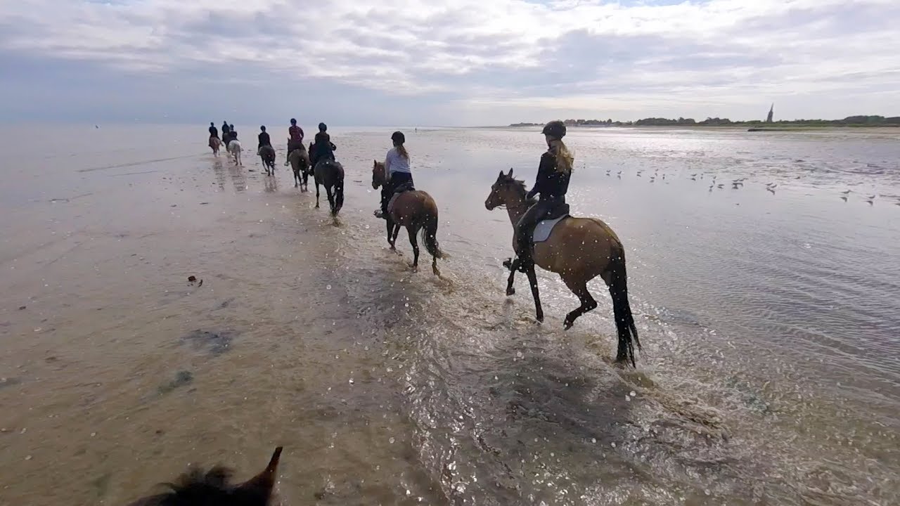 Balade à la plage - Courseulles Equitation - 8 août 2019
