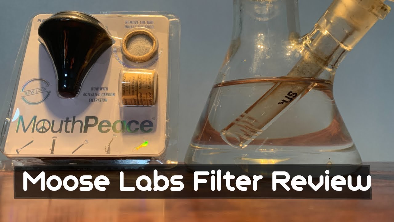 Moose Labs Filter Review | Are They Worth it?