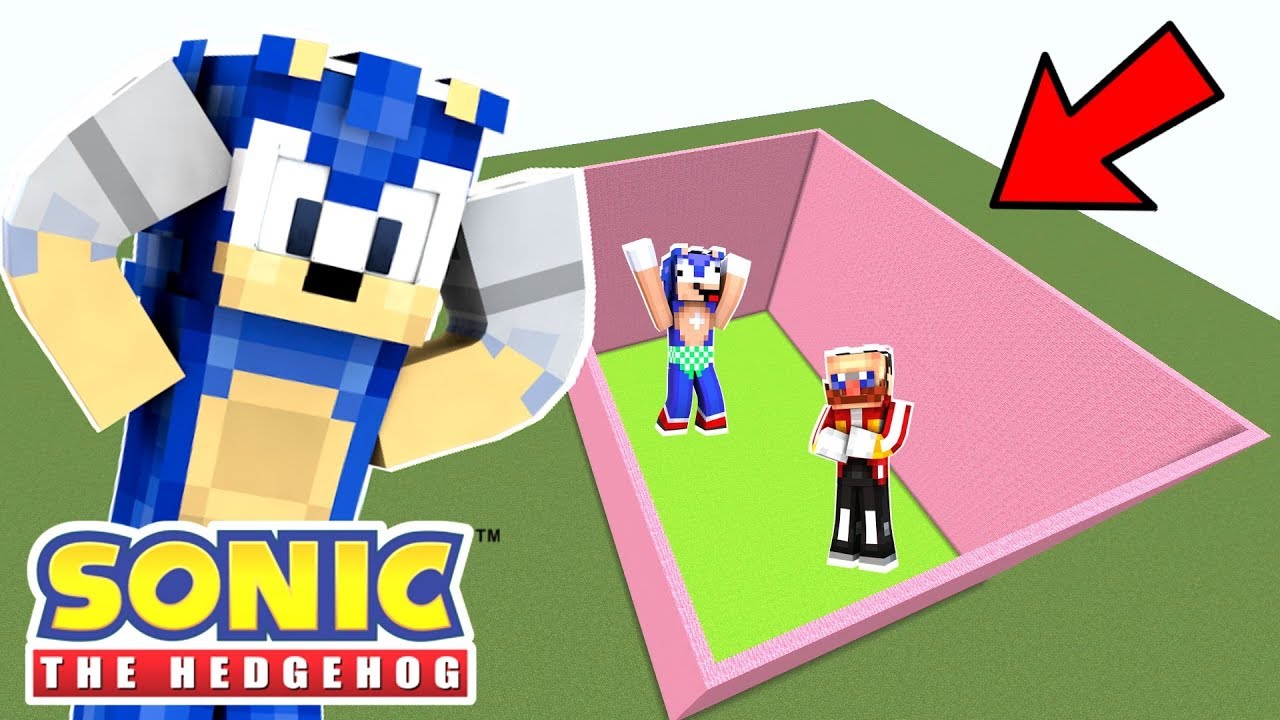 Minecraft Sonic The Hedgehog - Trapping All Sonic's Friends In A Box! [129]