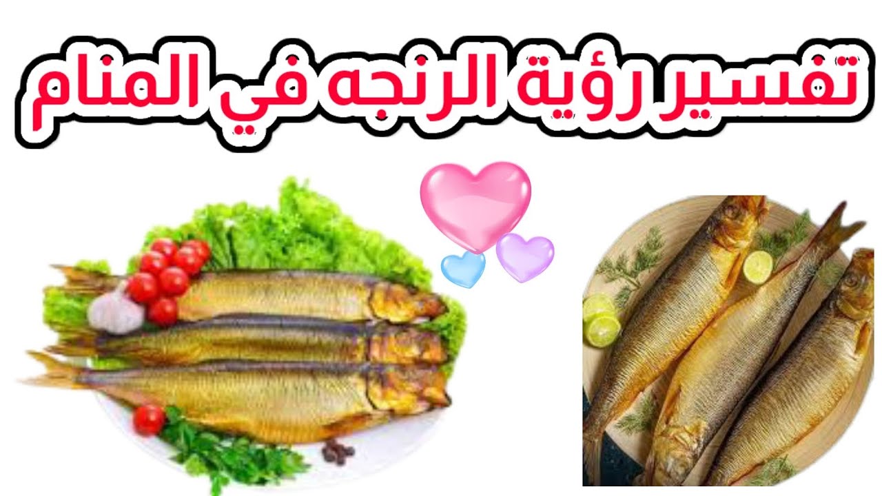 رؤية الرنجة في المنام ومعني اكل الرنج